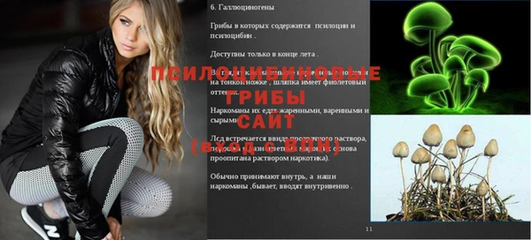 ПСИЛОЦИБИНОВЫЕ ГРИБЫ Покачи